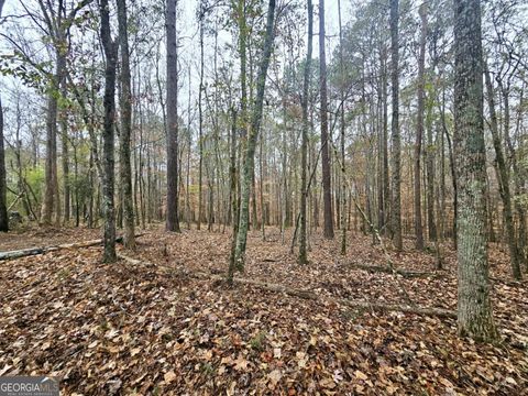  in Roopville GA 0 Dowdy Road.jpg