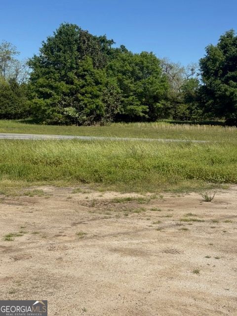  in Pineview GA 0 Georgia  HWY 257 #LOT 8.jpg