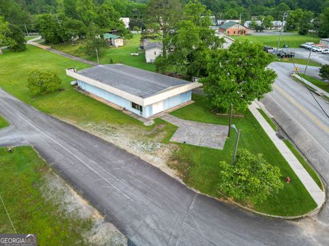 Retail in Tiger GA 20 History Street.jpg