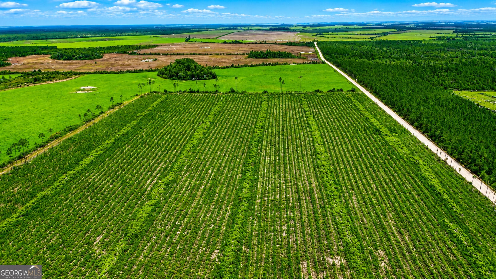 10 5 Acres Allanton Rd, Panama City, FL 32404 photo