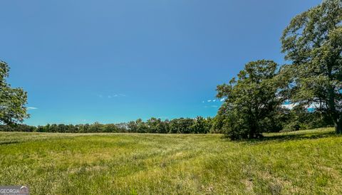  in Roopville GA 0 Farmer Road.jpg