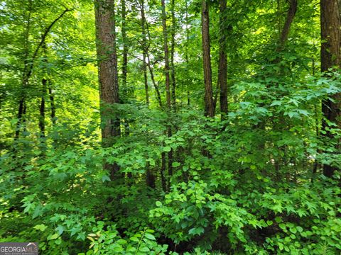 Unimproved Land in Villa Rica GA 8033 Longleaf Drive.jpg