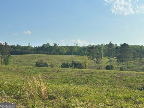 Agriculture in Roopville GA 0 Needmore Road - (345.37 acres).jpg