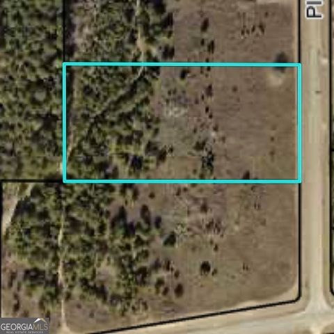  in Hawkinsville GA 4.13 +/- acres Pitts Road.jpg