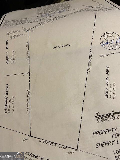 Unimproved Land in Sylvania GA MCDONALD AND Plum Road.jpg