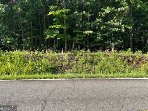 Agriculture in Whitesburg GA 0 TRACT 2 Little New York Road.jpg
