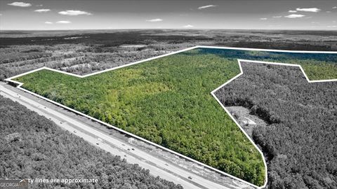 Agriculture in Fleming GA 262.44 AC Leroy Coffer Highway.jpg