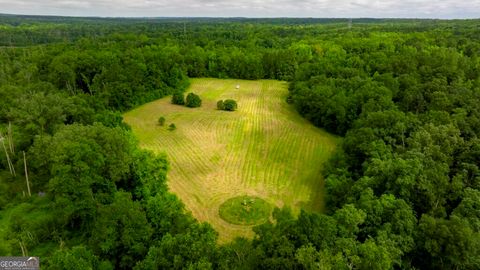 Agriculture in Mitchell GA 1230 Agricola Road.jpg