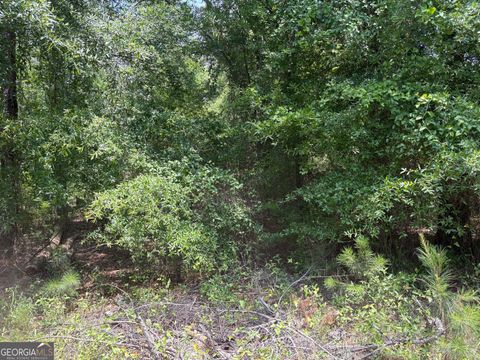 Unimproved Land in Sandersville GA 1 Floyd Turner Lane.jpg