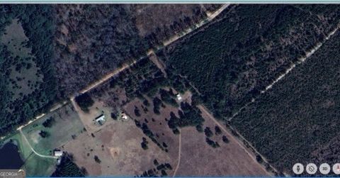 Agriculture in Eastman GA 891 Old Daniels Ch Road.jpg