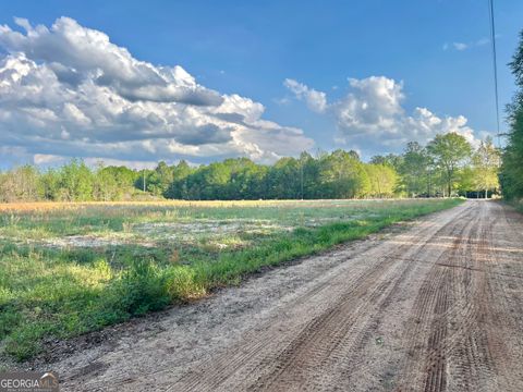 Agriculture in Rochelle GA 0 Robin Lane 1.jpg