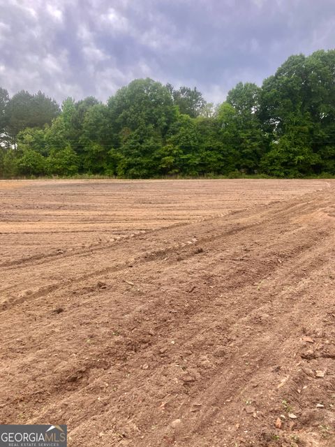 Agriculture in Rochelle GA 0 Robin Lane 13.jpg