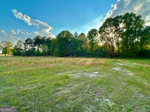 Agriculture in Rochelle GA 0 Robin Lane.jpg