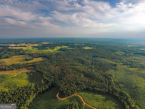 Unimproved Land in Roopville GA 0 Caney Head Road.jpg