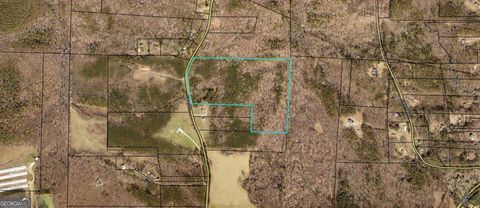 Unimproved Land in Roopville GA 534 Craven Road.jpg