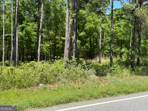 Unimproved Land in Montezuma GA 13059 E State Route 26 Road Rd.jpg
