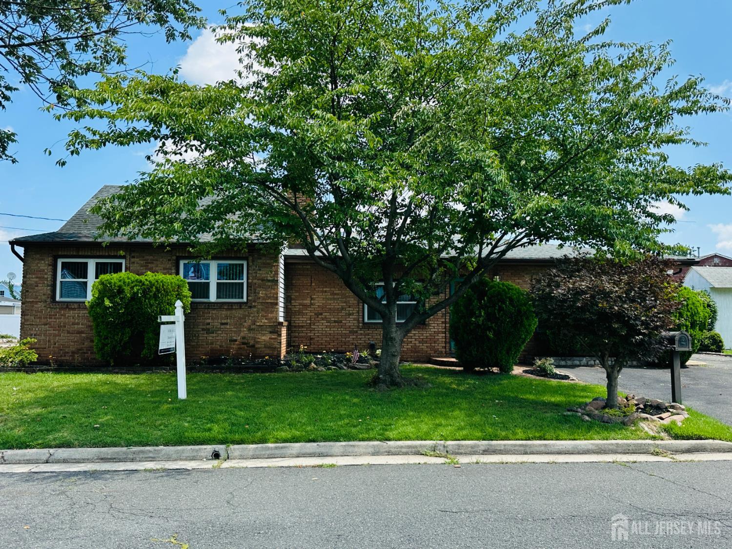 11 Demarest Pl, Piscataway, NJ 08854 photo