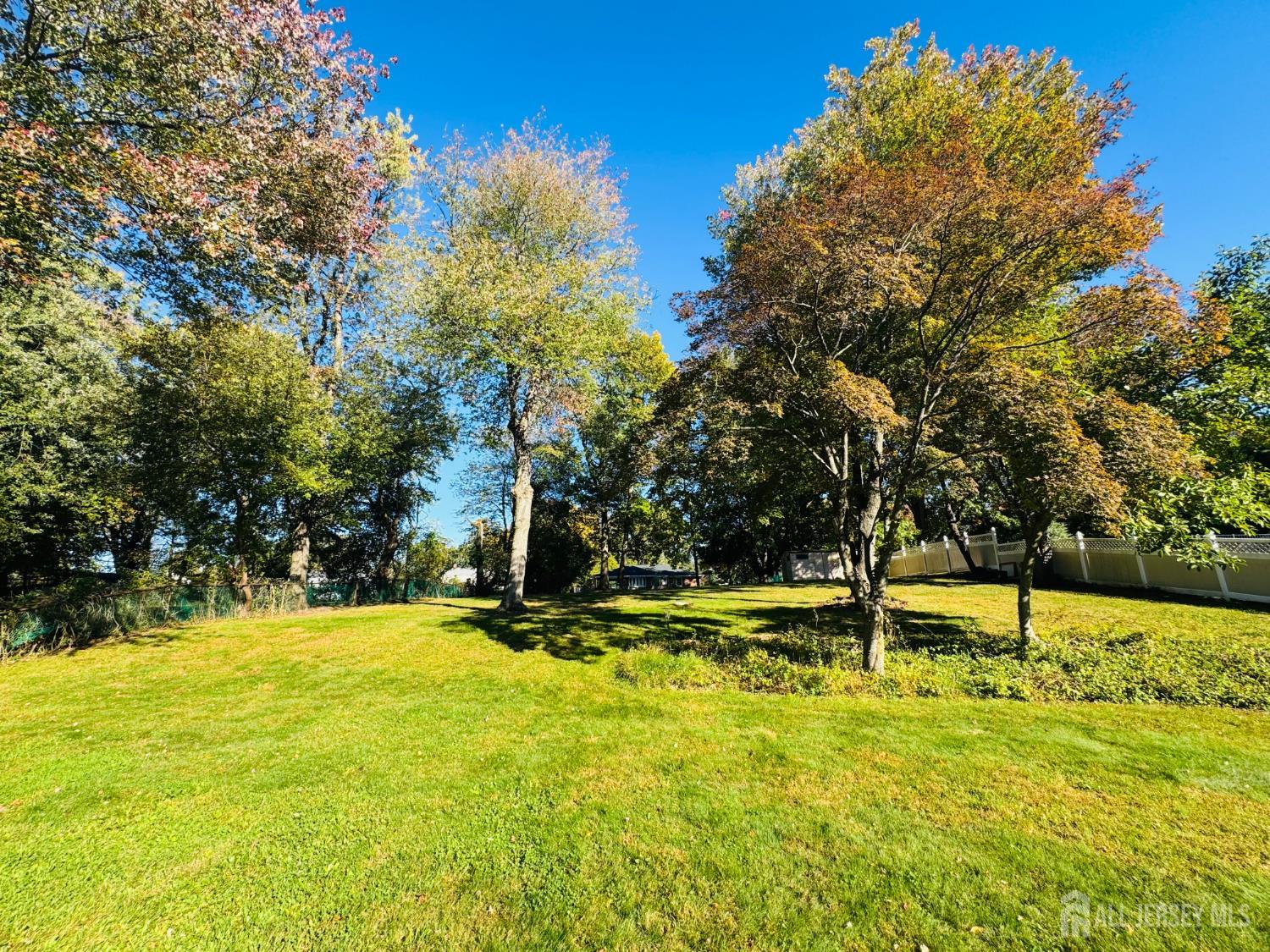33 Mary Ellen Dr, Edison, NJ 08820 photo