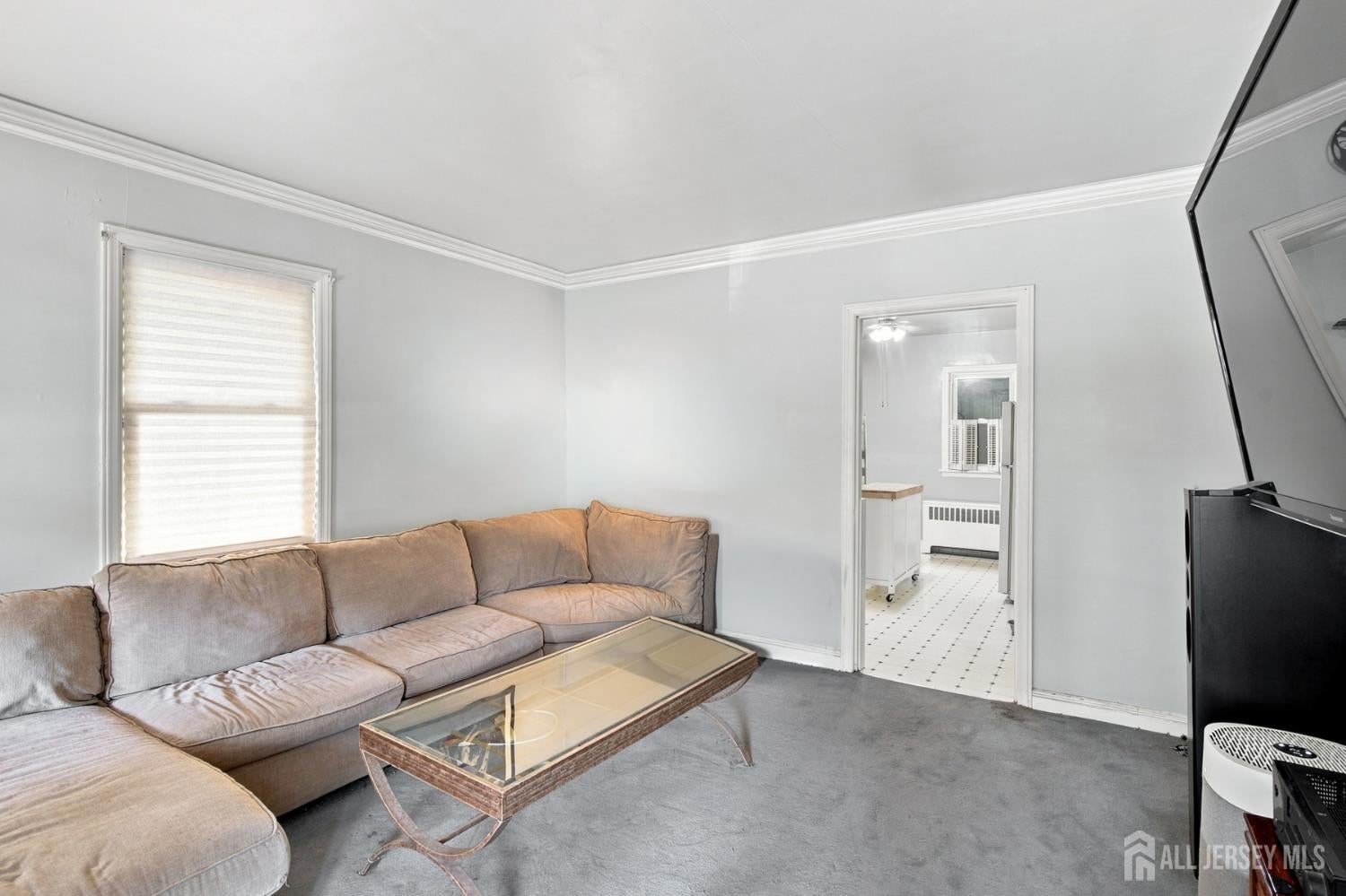 19 Pulawski Ave, South River, NJ 08882 photo