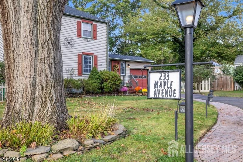 233 Maple Ave, Dunellen, NJ 08812 photo