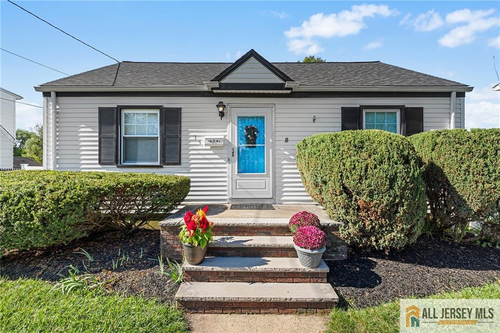 15 Chestnut St, Edison, NJ 08817