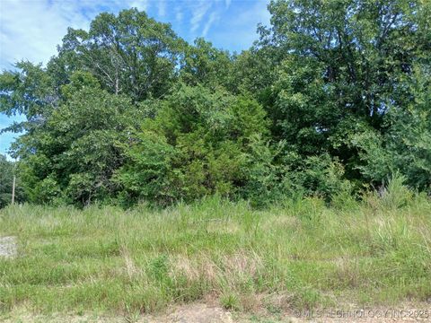 Unimproved Land in Dustin OK County Road 1260.jpg