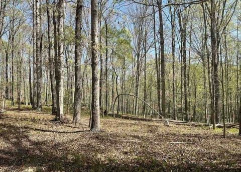 Unimproved Land in Cleveland GA 0 Cabin Lake Rd.jpg