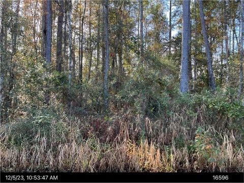  in Kingsland GA n/a Oak Hill Church Road.jpg