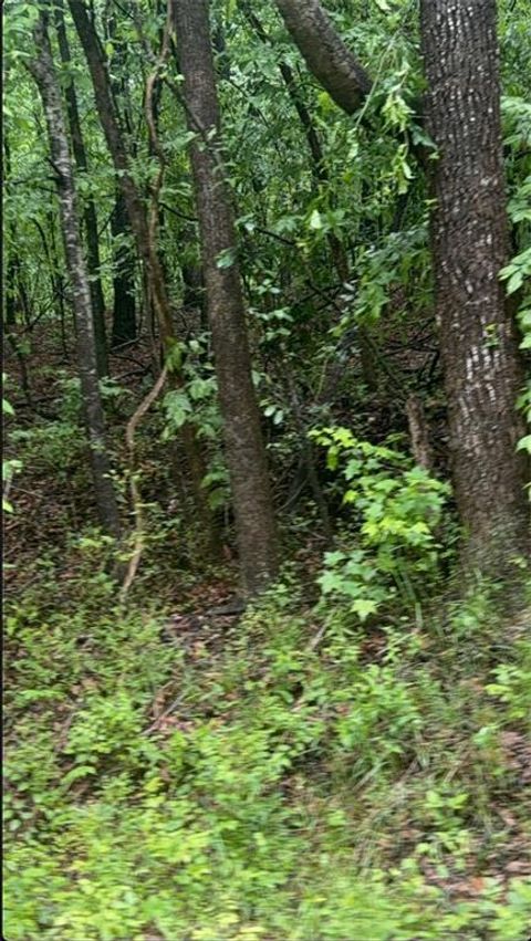 Unimproved Land in Covington GA 0 Collier Street.jpg