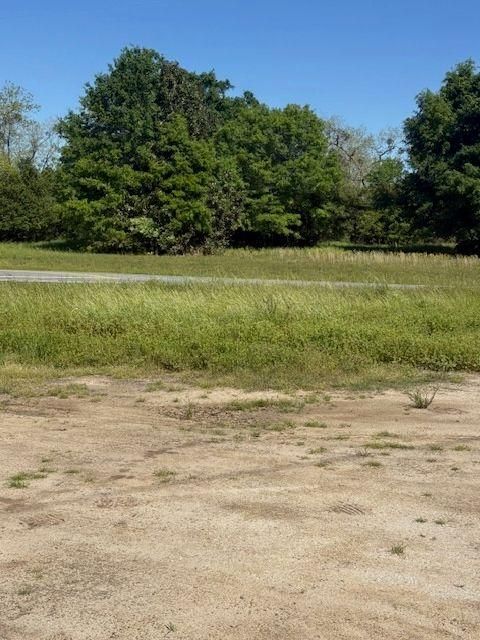 Unimproved Land in Pineview GA 0 Georgia 257 Lot 9.jpg