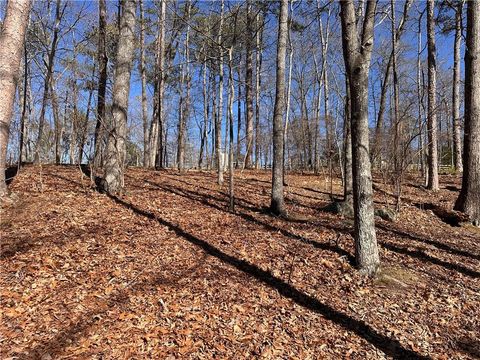 Unimproved Land in White GA 0 SWALLOW Drive 3.jpg