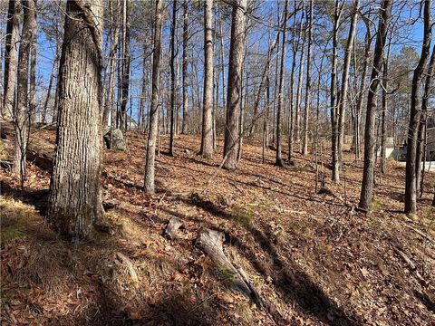 Unimproved Land in White GA 0 SWALLOW Drive 5.jpg