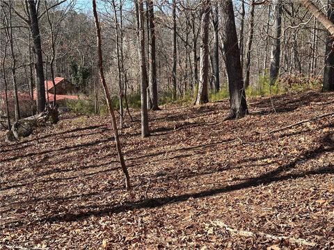 Unimproved Land in White GA 0 SWALLOW Drive 13.jpg