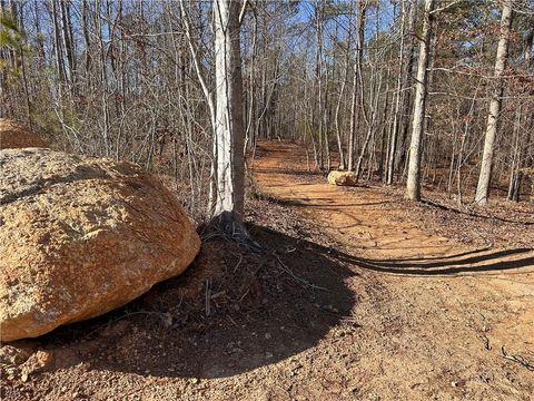 Unimproved Land in White GA 0 SWALLOW Drive 39.jpg