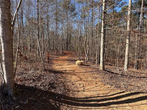 Unimproved Land in White GA 0 SWALLOW Drive 38.jpg