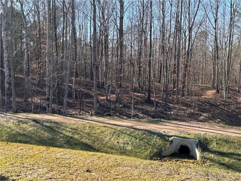 Unimproved Land in White GA 0 SWALLOW Drive 43.jpg