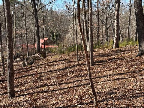 Unimproved Land in White GA 0 SWALLOW Drive 11.jpg