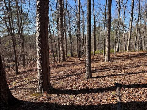 Unimproved Land in White GA 0 SWALLOW Drive 10.jpg
