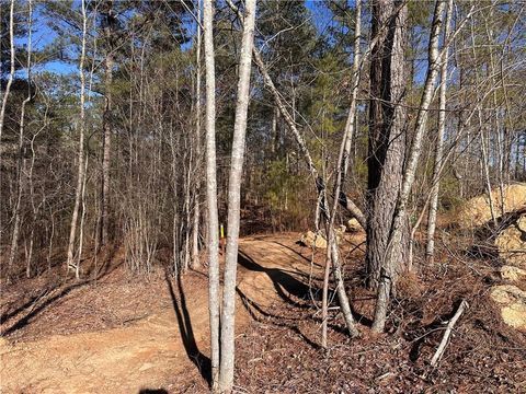 Unimproved Land in White GA 0 SWALLOW Drive 37.jpg