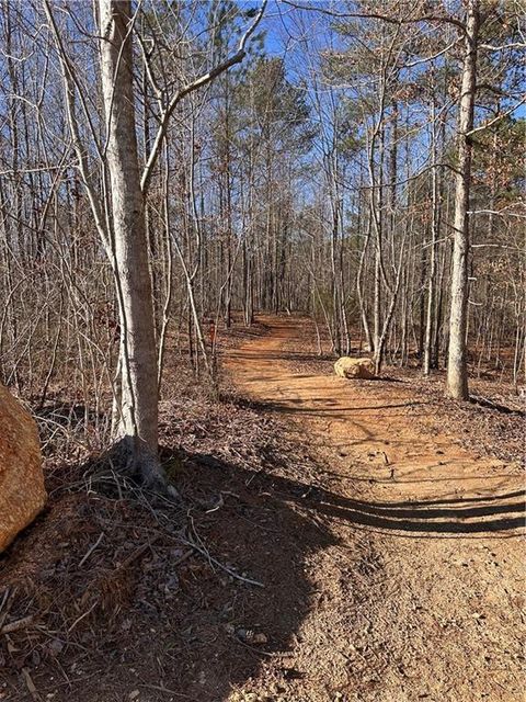 Unimproved Land in White GA 0 SWALLOW Drive 40.jpg