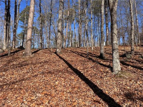 Unimproved Land in White GA 0 SWALLOW Drive 4.jpg