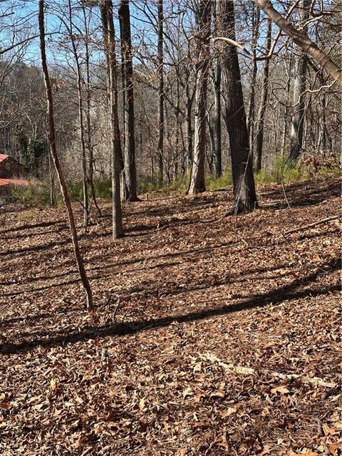 Unimproved Land in White GA 0 SWALLOW Drive 12.jpg