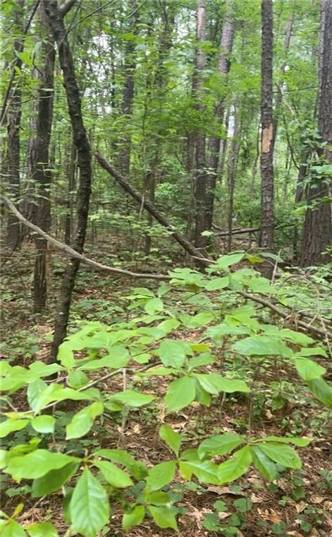 Unimproved Land in Newborn GA 0 Ga-142.jpg