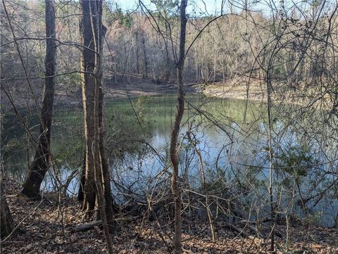 Unimproved Land in Dry Branch GA 000 PARKER Road.jpg