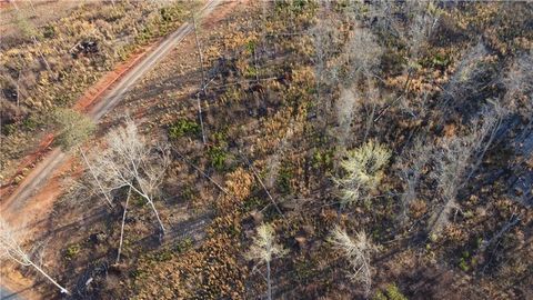 Unimproved Land in Forsyth GA 1374 Hopewell Road.jpg
