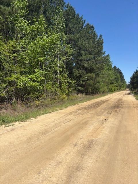 Unimproved Land in Pineview GA 0 Mt Pleasant Church Road.jpg