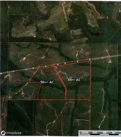 Unimproved Land in Butler GA 0 Hwy 80.jpg