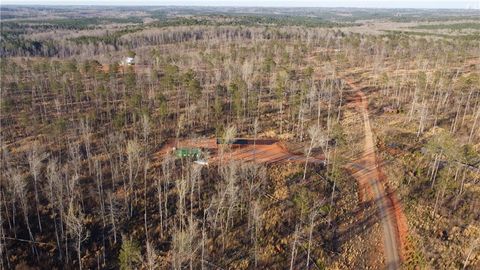 Unimproved Land in Forsyth GA 1374 Hopewell Rd.jpg