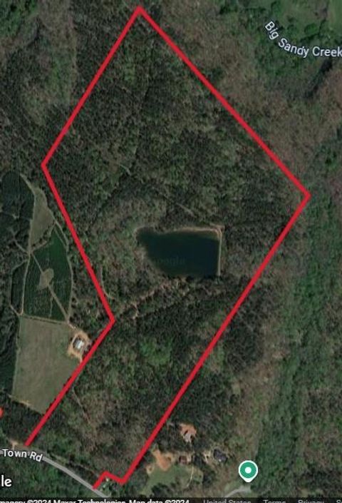 Unimproved Land in Madison GA 4318 Hester Town Road.jpg