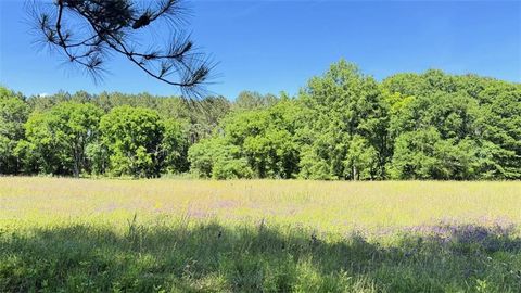 Unimproved Land in Buckhead GA 0 Bonner Lane.jpg
